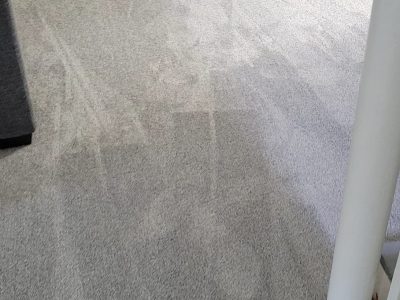 carpet 1
