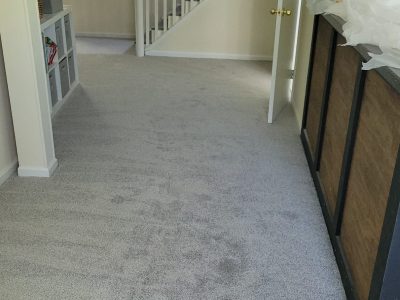 carpet 4